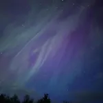 Bjorkli アパート