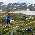 Bjorkli Appartement *
