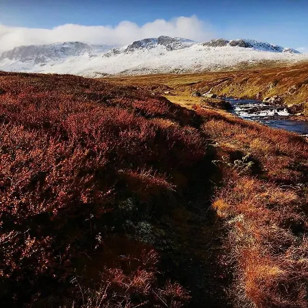 Bjørkli Leilighet