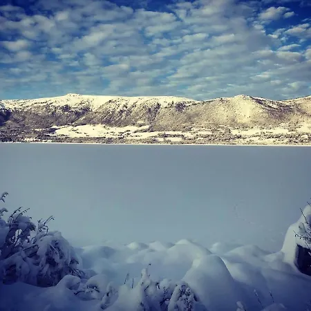 Bjørkli *