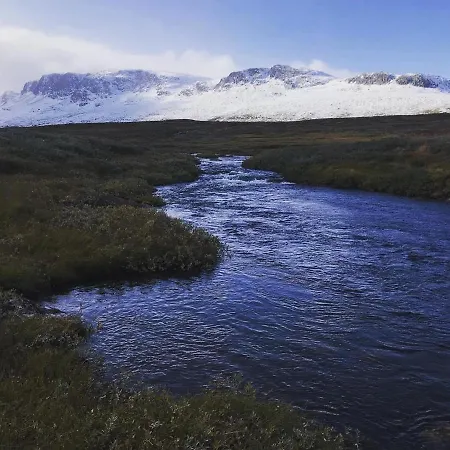 Bjørkli *