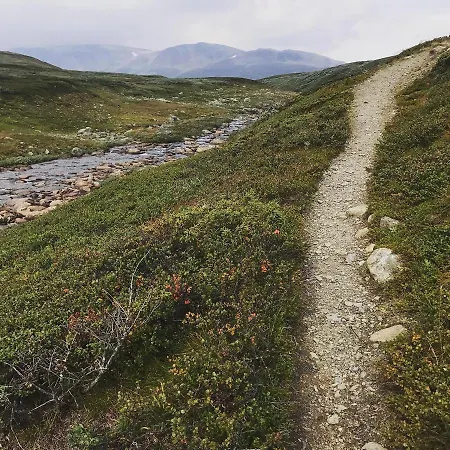 Bjorkli