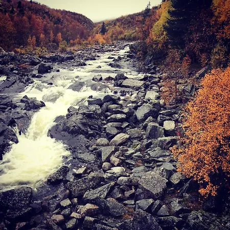 Bjørkli *