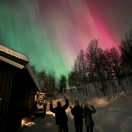 Bjorkli * גיילו