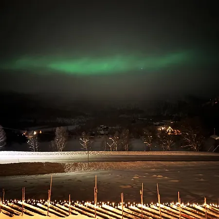 Bjorkli アパート ヤイロ