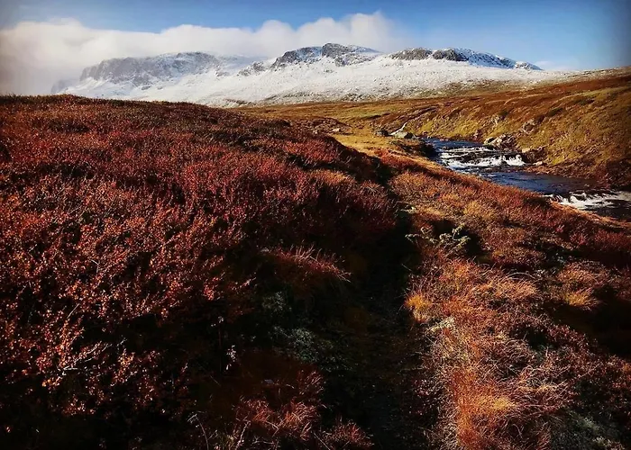 Bjorkli Apartment