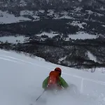 Bjorkli