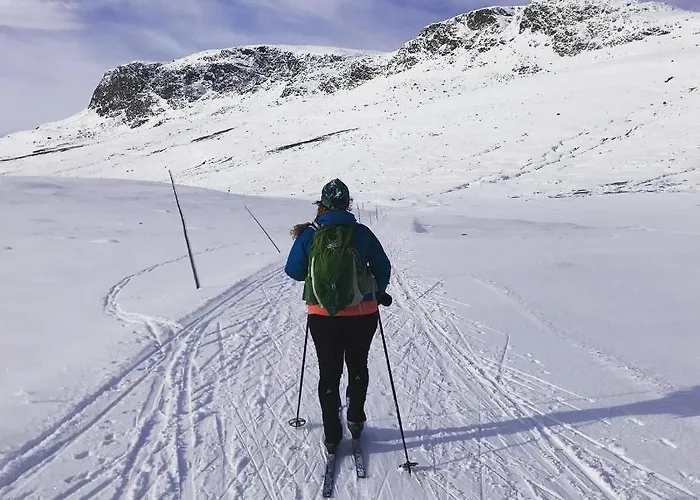 Bjorkli Geilo